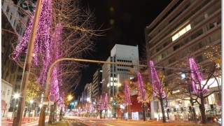 osaka光のルネサンス2015はいつ? イルミネーション見どころは?屋台は?