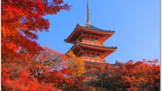 京都の紅葉 混雑は?おすすめスポットはどこ?見頃はいつ?