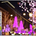 御堂筋イルミネーションの期間は?デートコースに人気?通行止めを楽しむ?
