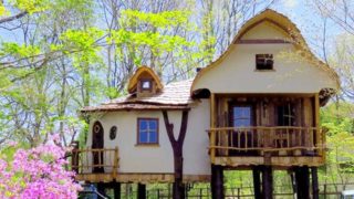 ツリーハウスに家族で、友達同士で、カップルで出かけよう!
